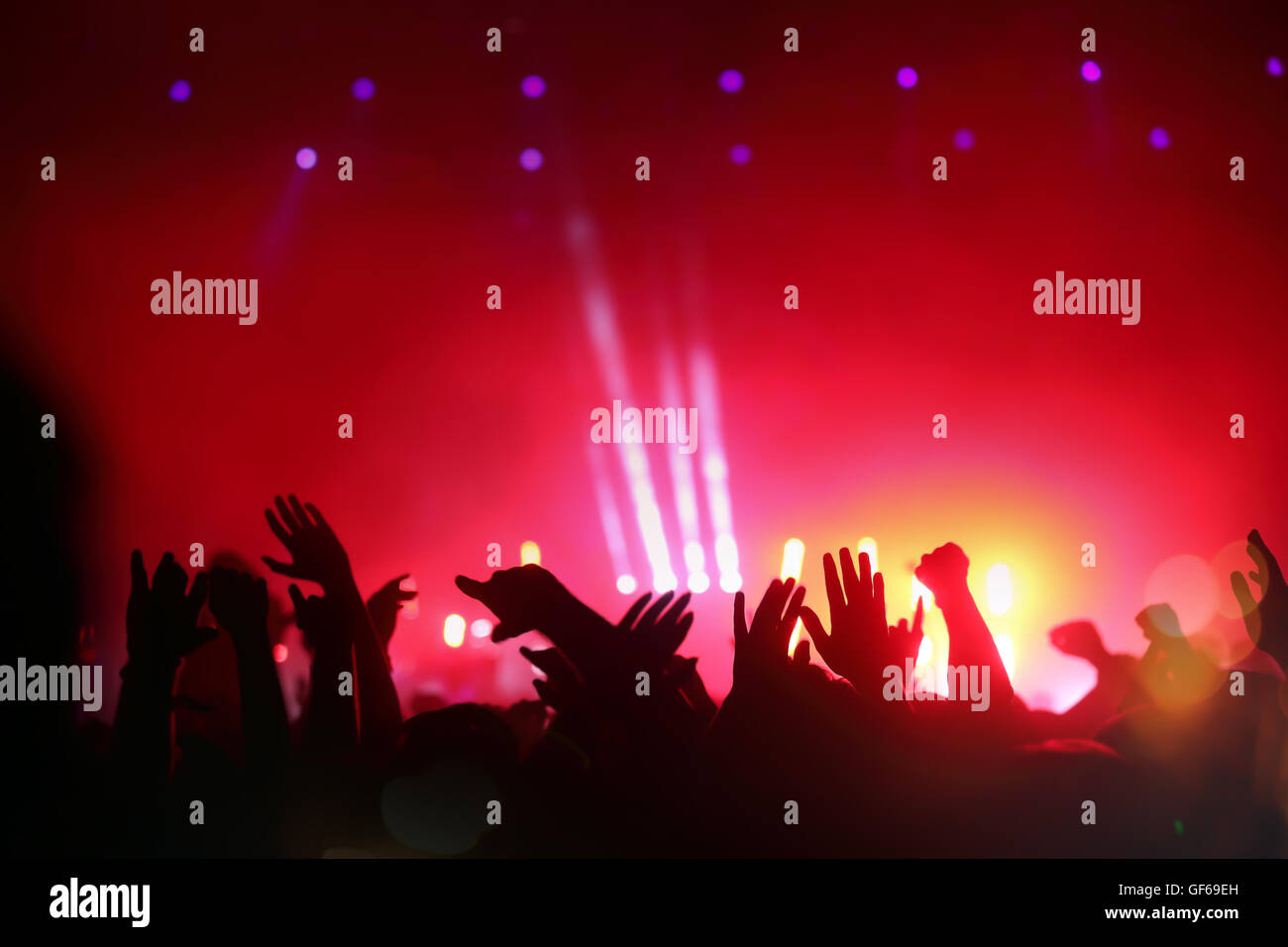 Crowd enjoying live music at a concert
