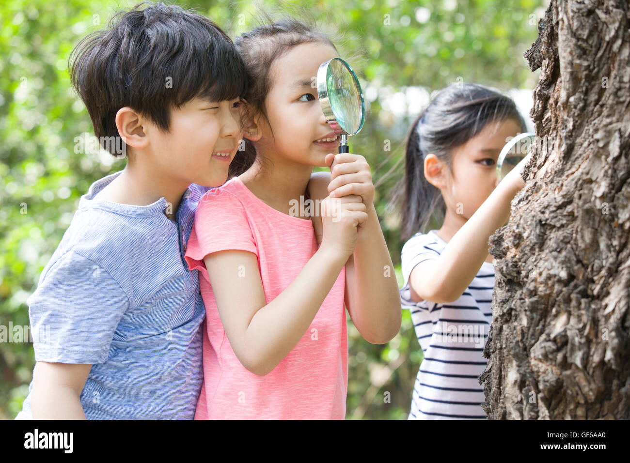Happy Chinese children playing in woods Stock Photo - Alamy