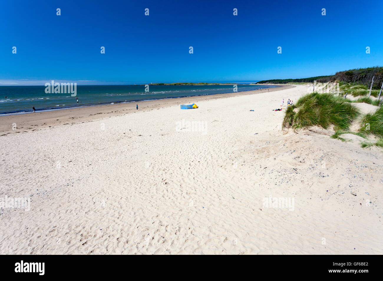 newborough-beach-with-newborough-warren-woods-on-a-hot-summers-day-the