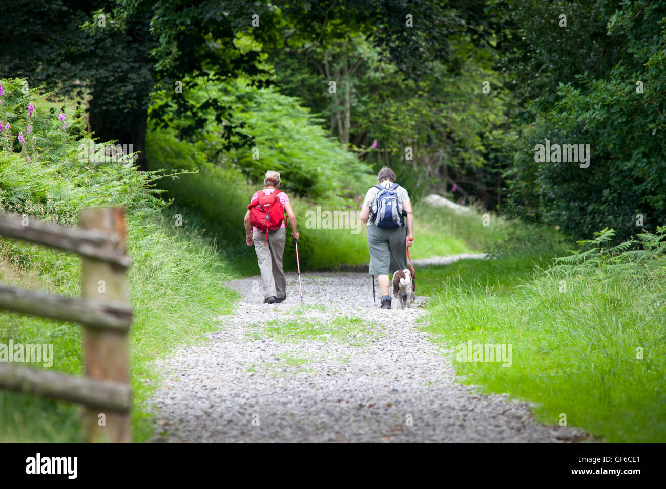 Two female walkers enjoying the a pleasant walk in the Clwydian Hill, Denbighshire, Wales, UK Stock Photo