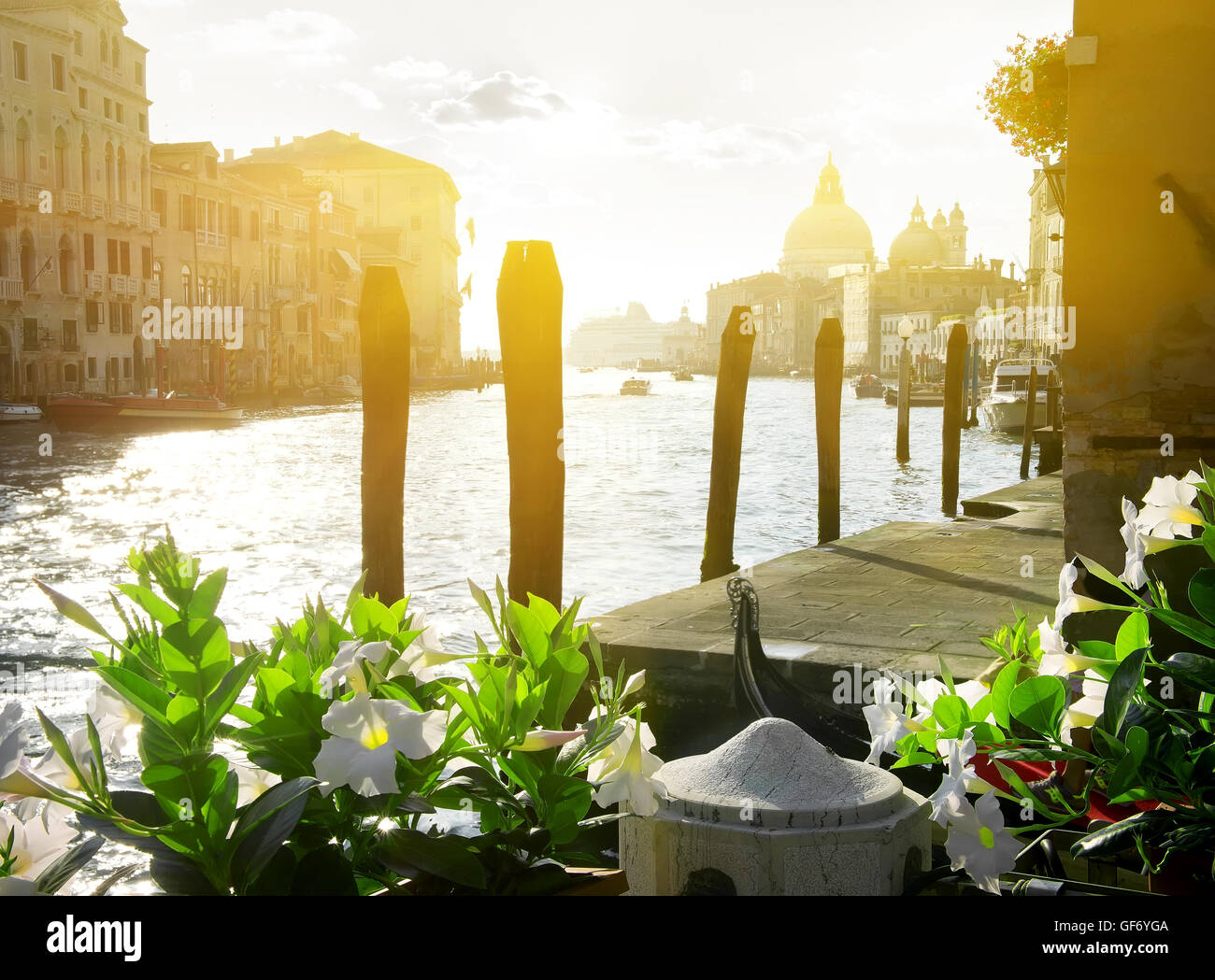 Flowers near the Grand Canal, Venice, Italy Stock Photo Alamy