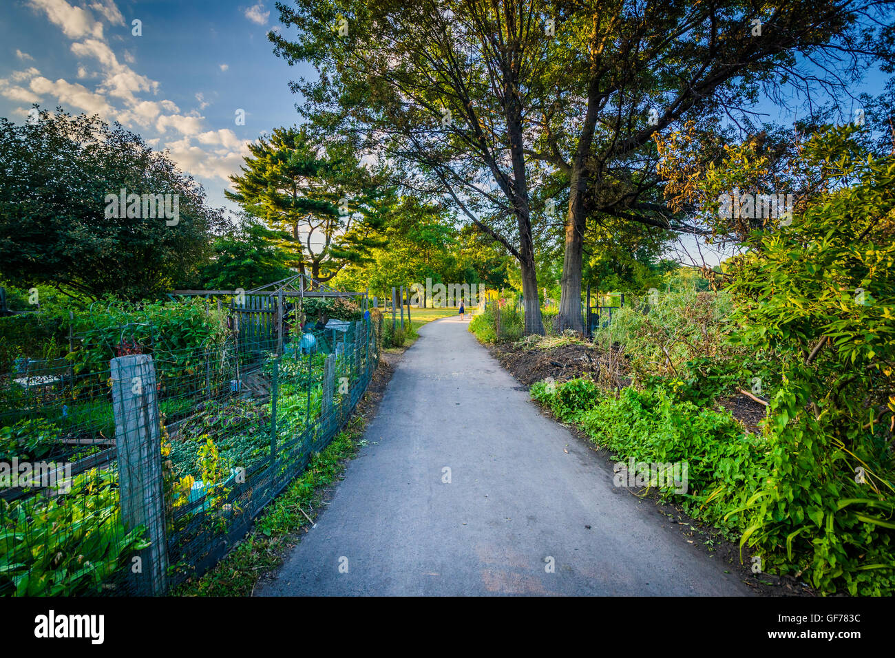 Walkway and gardens at Back Bay Fens, in Boston, Massachusetts. Stock Photo