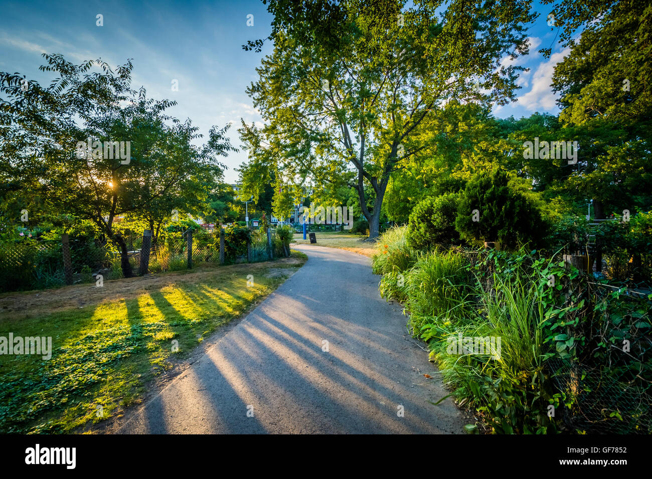 Walkway and trees at Back Bay Fens, in Boston, Massachusetts. Stock Photo