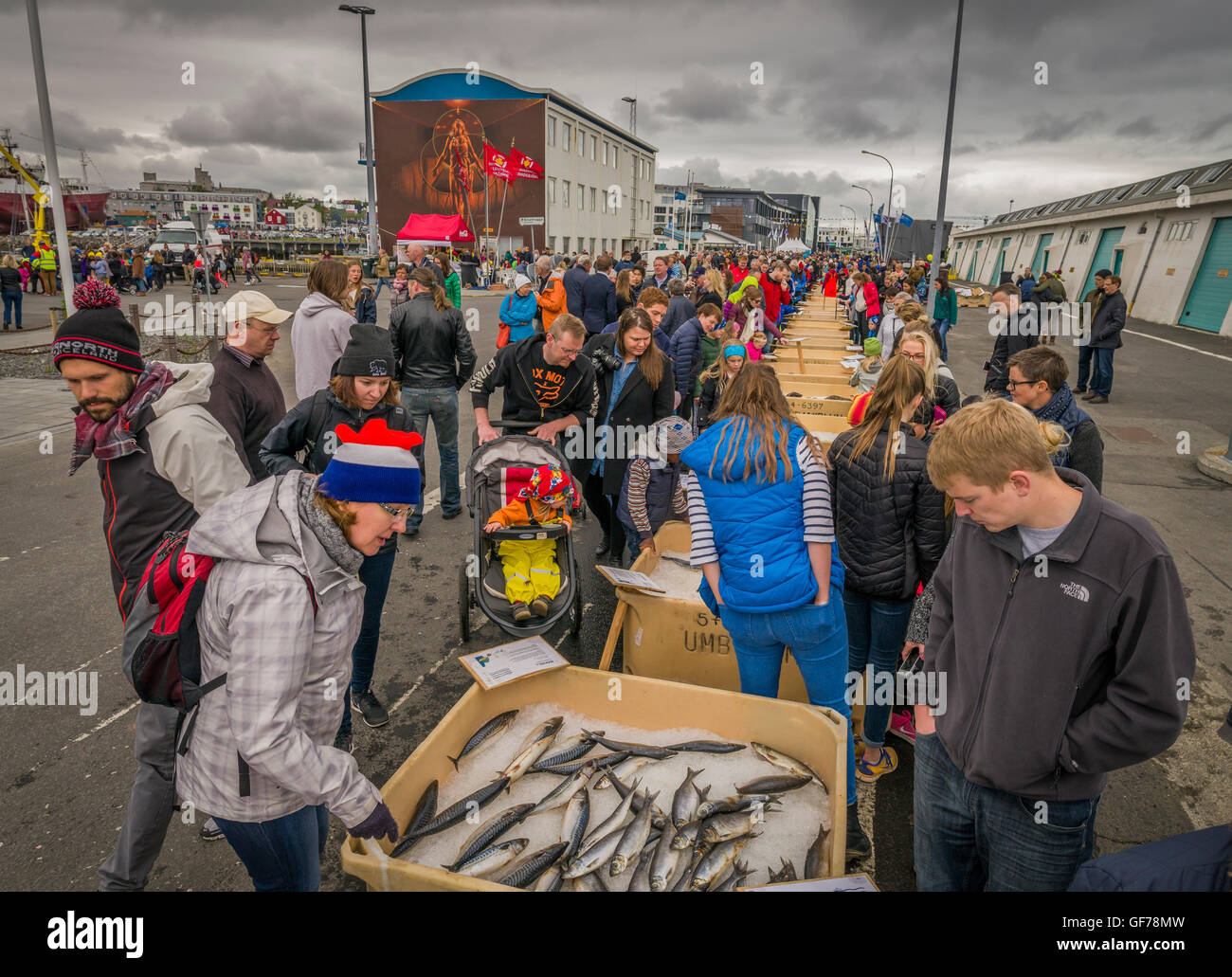 People looking at Fish at The Annual Seaman's Festival, Reykjavik, Iceland Stock Photo
