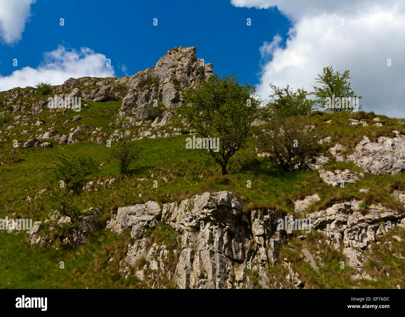 Limestone scenery at Wolfscote Dale near Hartington in White Peak area of the Peak District National Park Derbyshire England UK Stock Photo