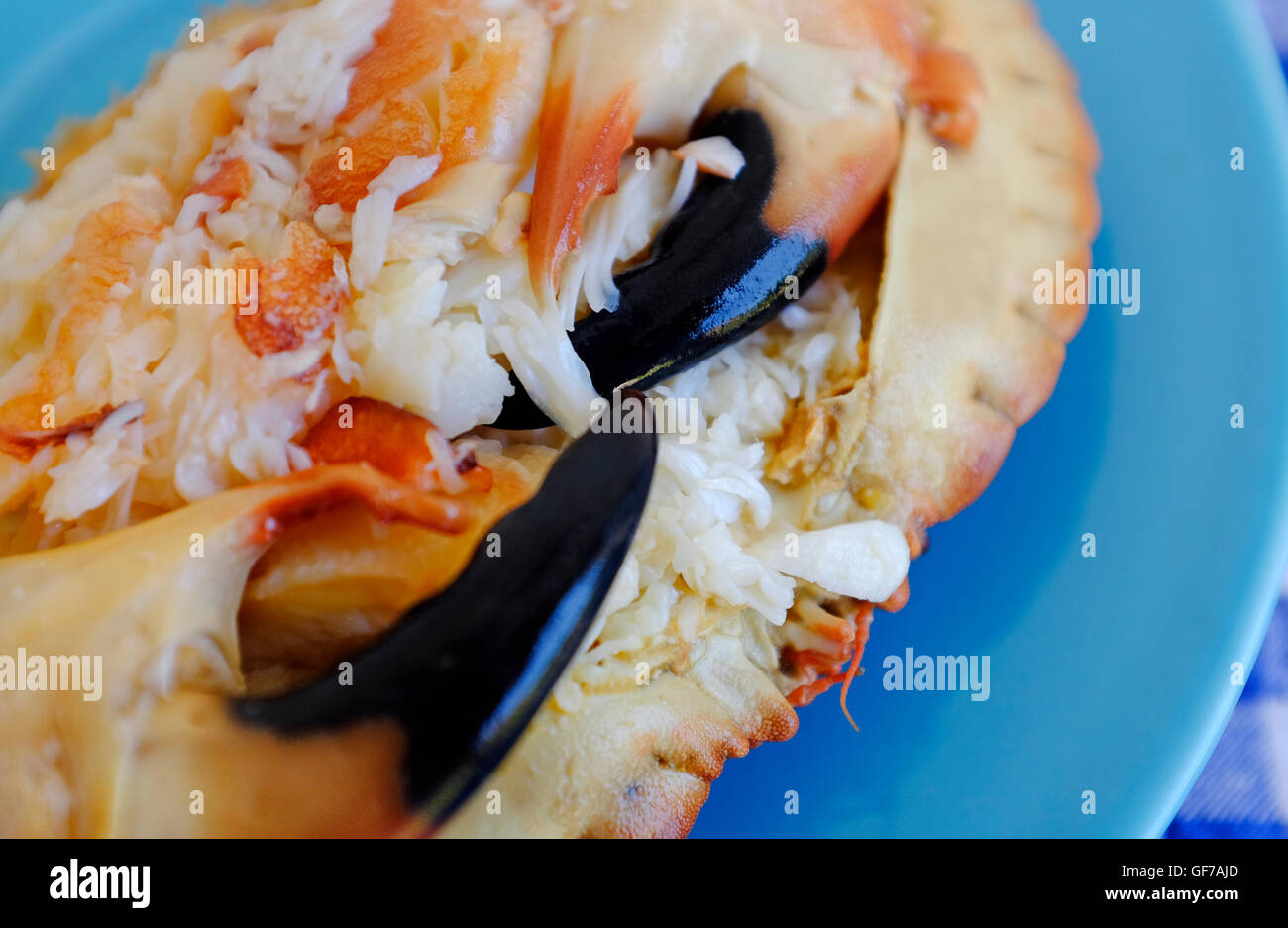 Dressed crab hires stock photography and images Alamy