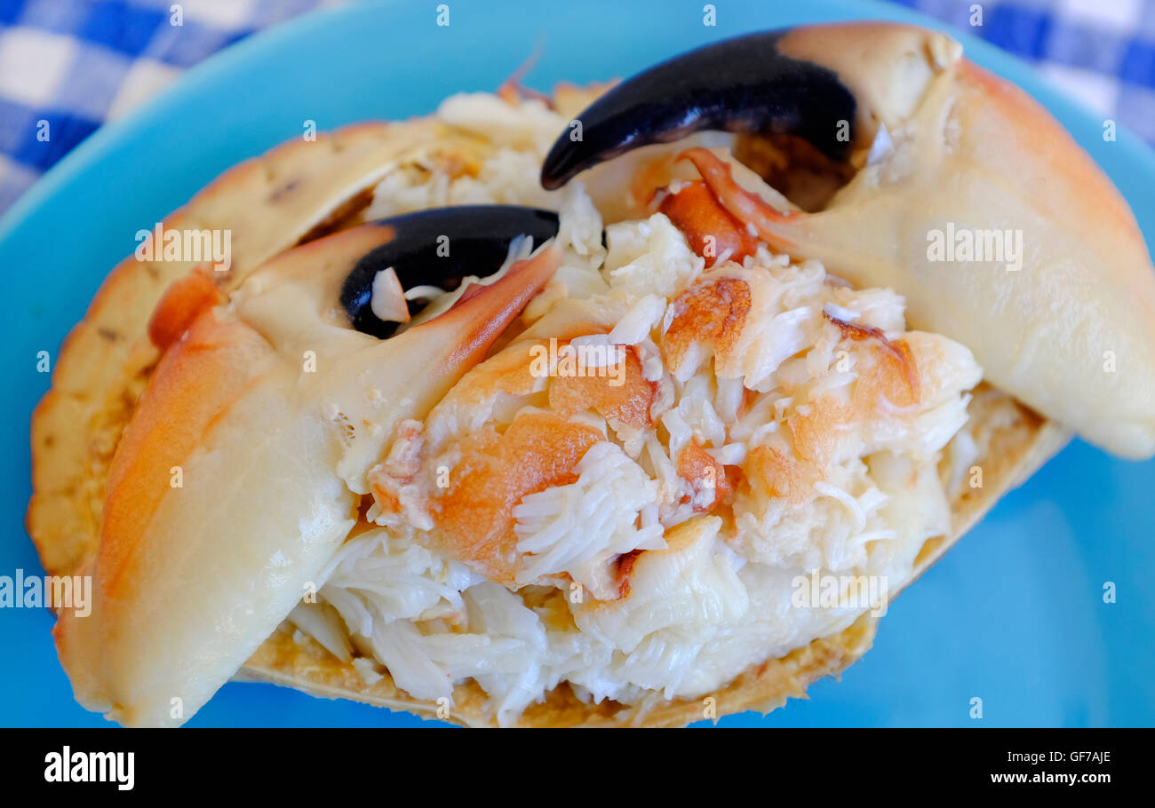 Dressed crab hi-res stock photography and images - Alamy