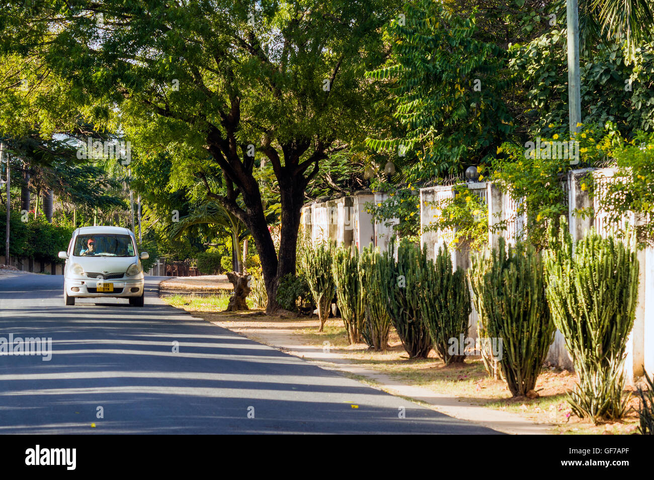 Upmarket residential street scene, Oyster Bay, DaresSalaam, Tanzania