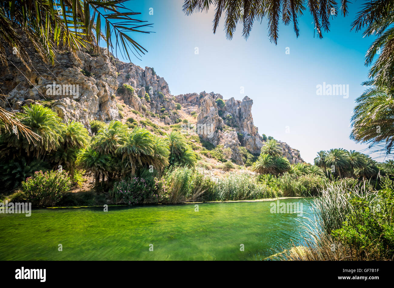 Crete Forests Preveli palm forest in Crete island, Greece. This amazing tropical ...