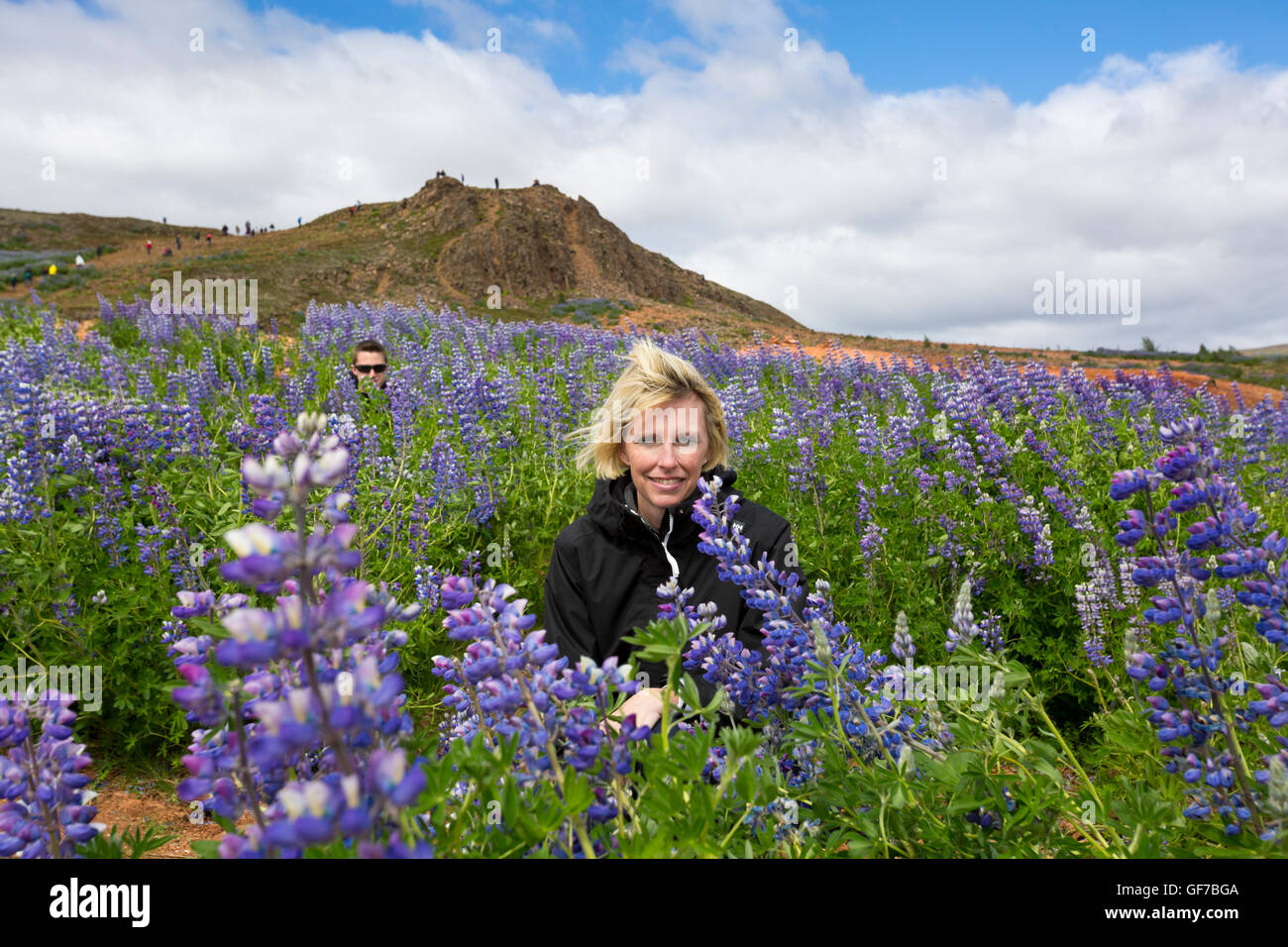 Strokkur Geysir Hot Spring Area, Laugarfjall hill, South West Iceland