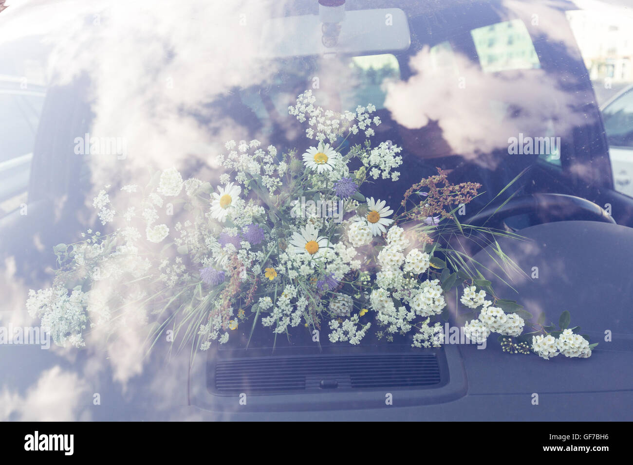bouquet of field flower behind a windshield in a car Stock Photo Alamy