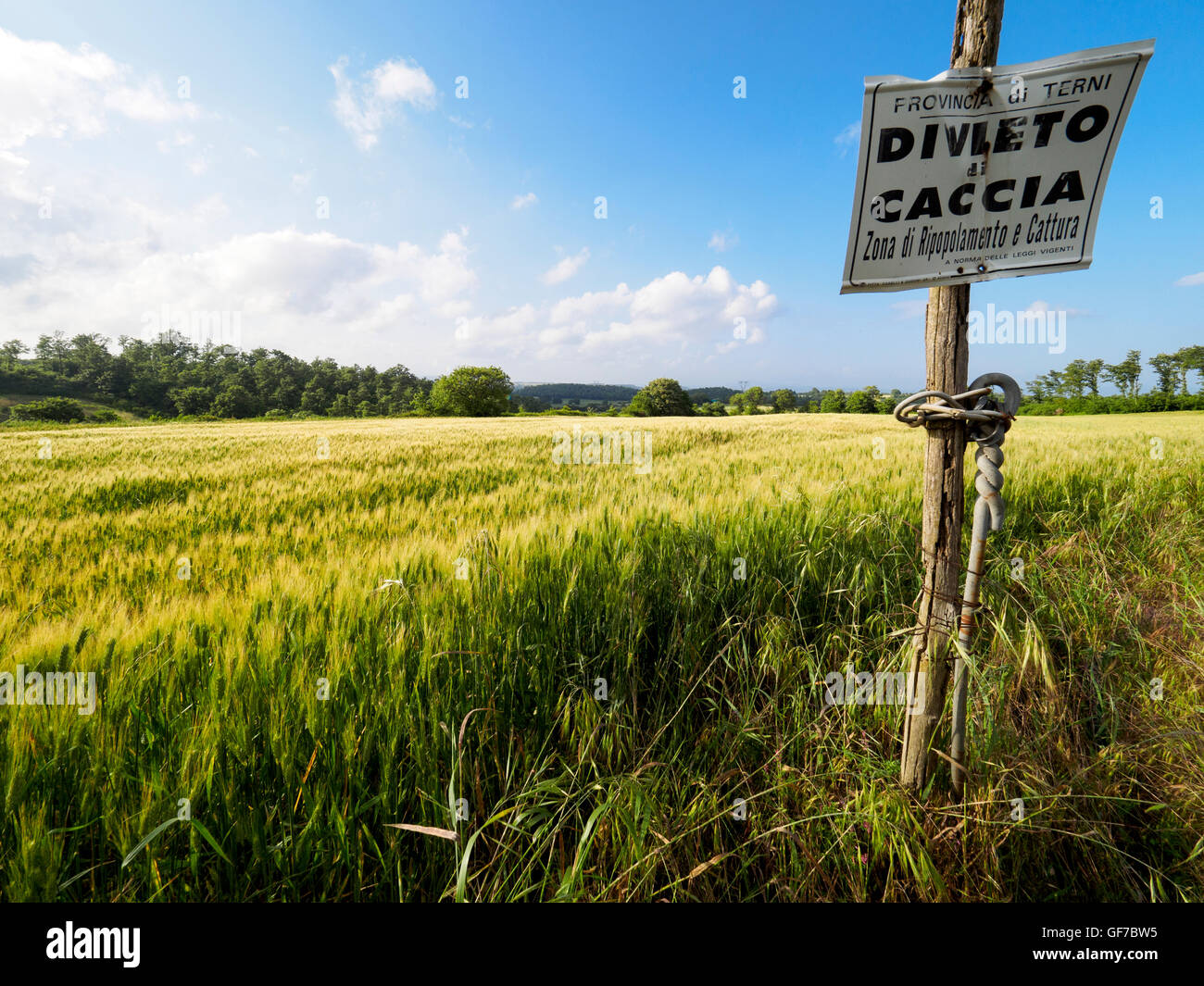 hunting ban sign near wheat fields in the region of Umbria, Italy Stock Photo