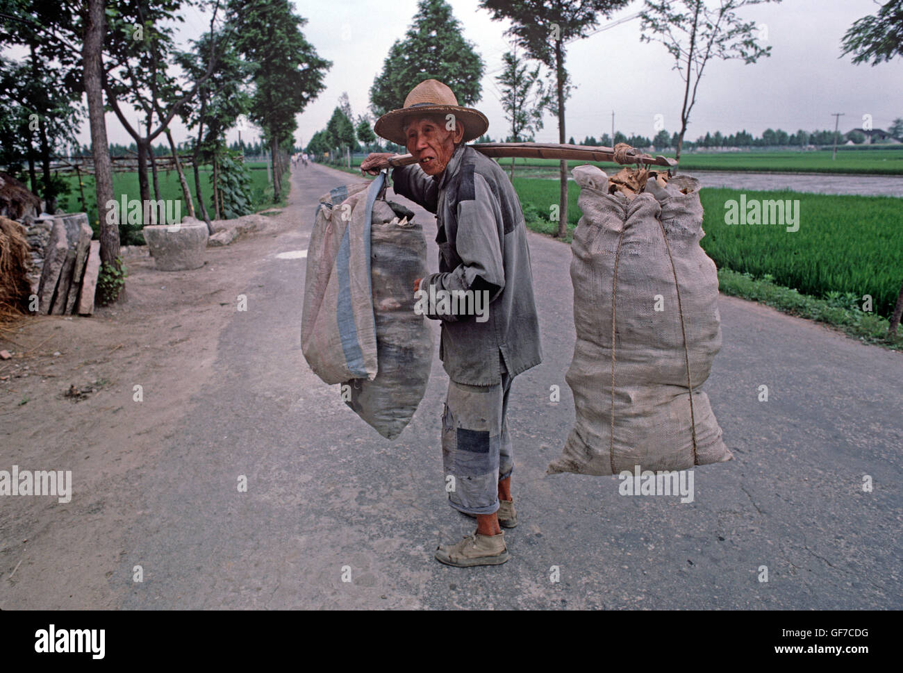 Itinerant worker collecting odd bits of cardboard and material in bags between bamboo pole, Shoaxing, China, Zhejiang Province Stock Photo