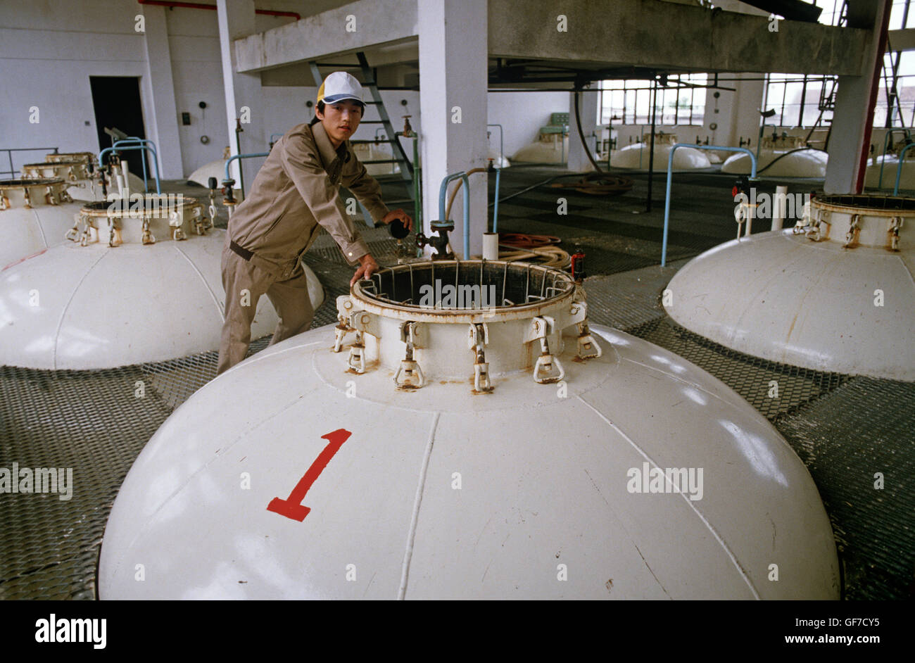 Rice wine fermenting vat in Shaoxing Rice Wine factory, Shaoxing
