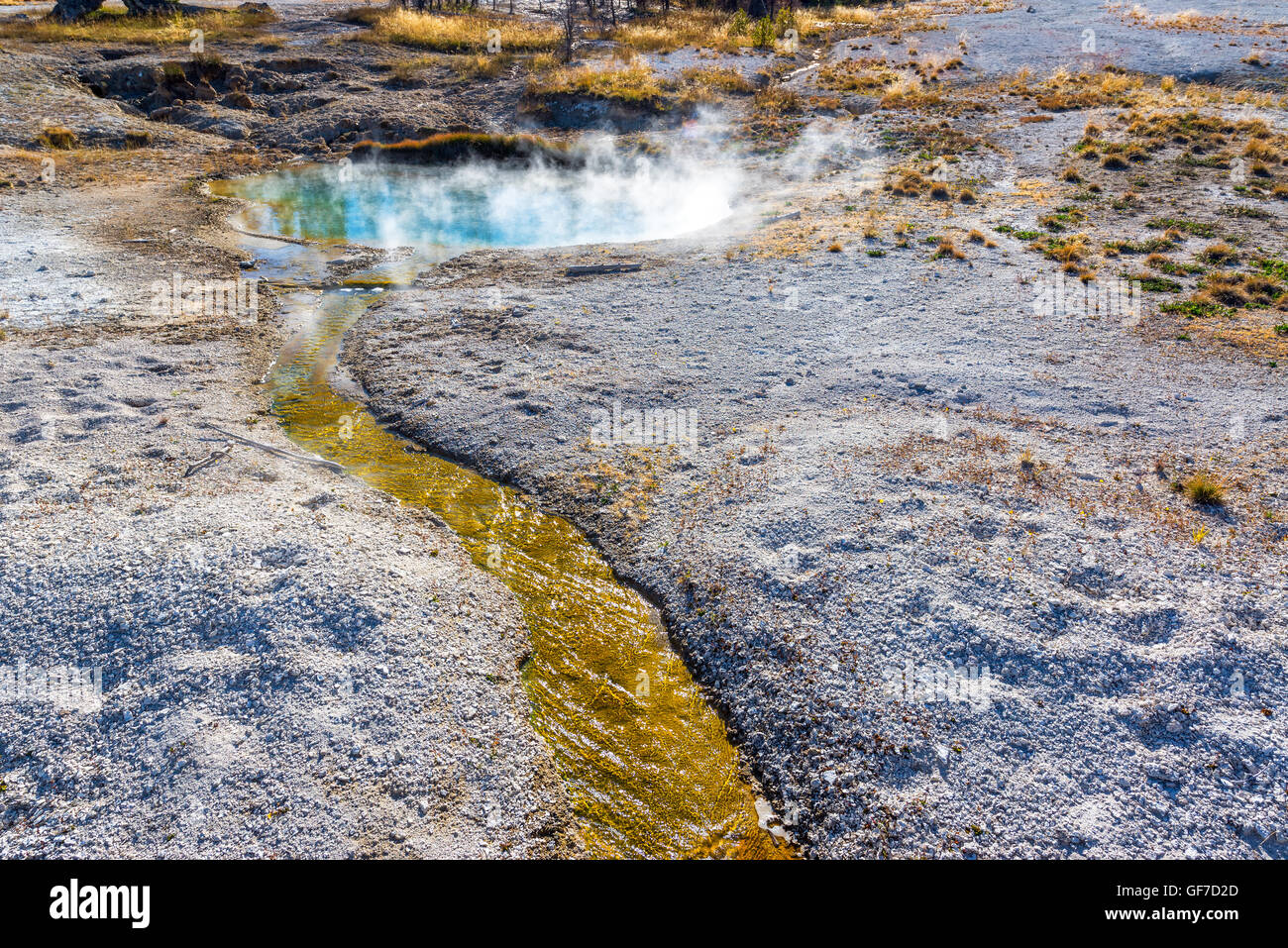 Stream and steaming pool in West Thumb Geyser Basin in Yellowstone National Park Stock Photo