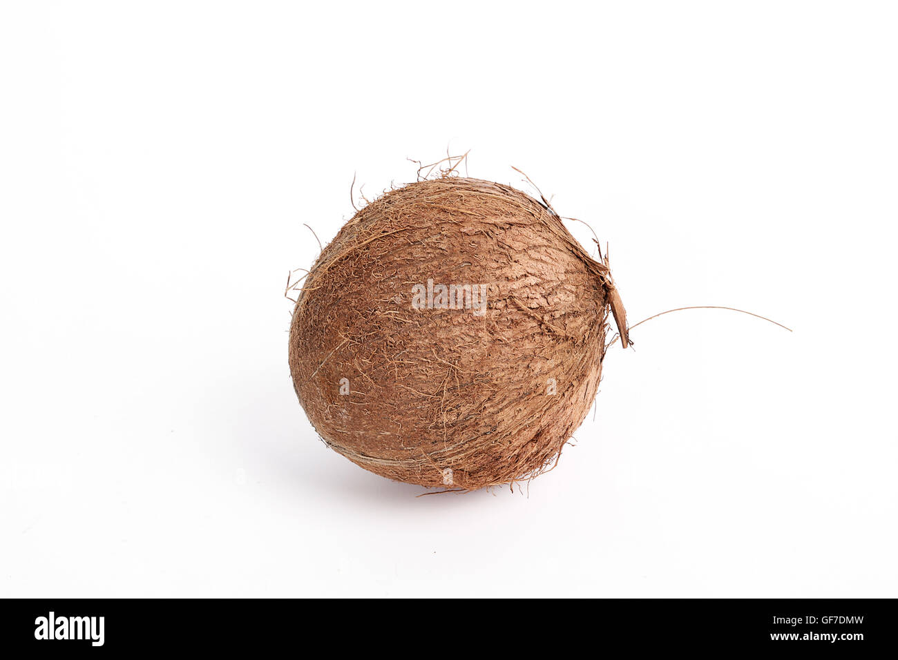 Hairy Coconut High Resolution Stock Photography and Images Alamy