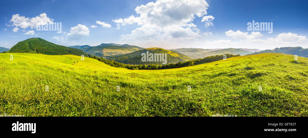 panoramic summer landscape. Hillside meadow in high mountains in ...