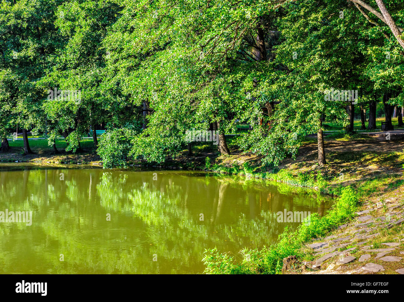 A pond near the park hi-res stock photography and images - Alamy