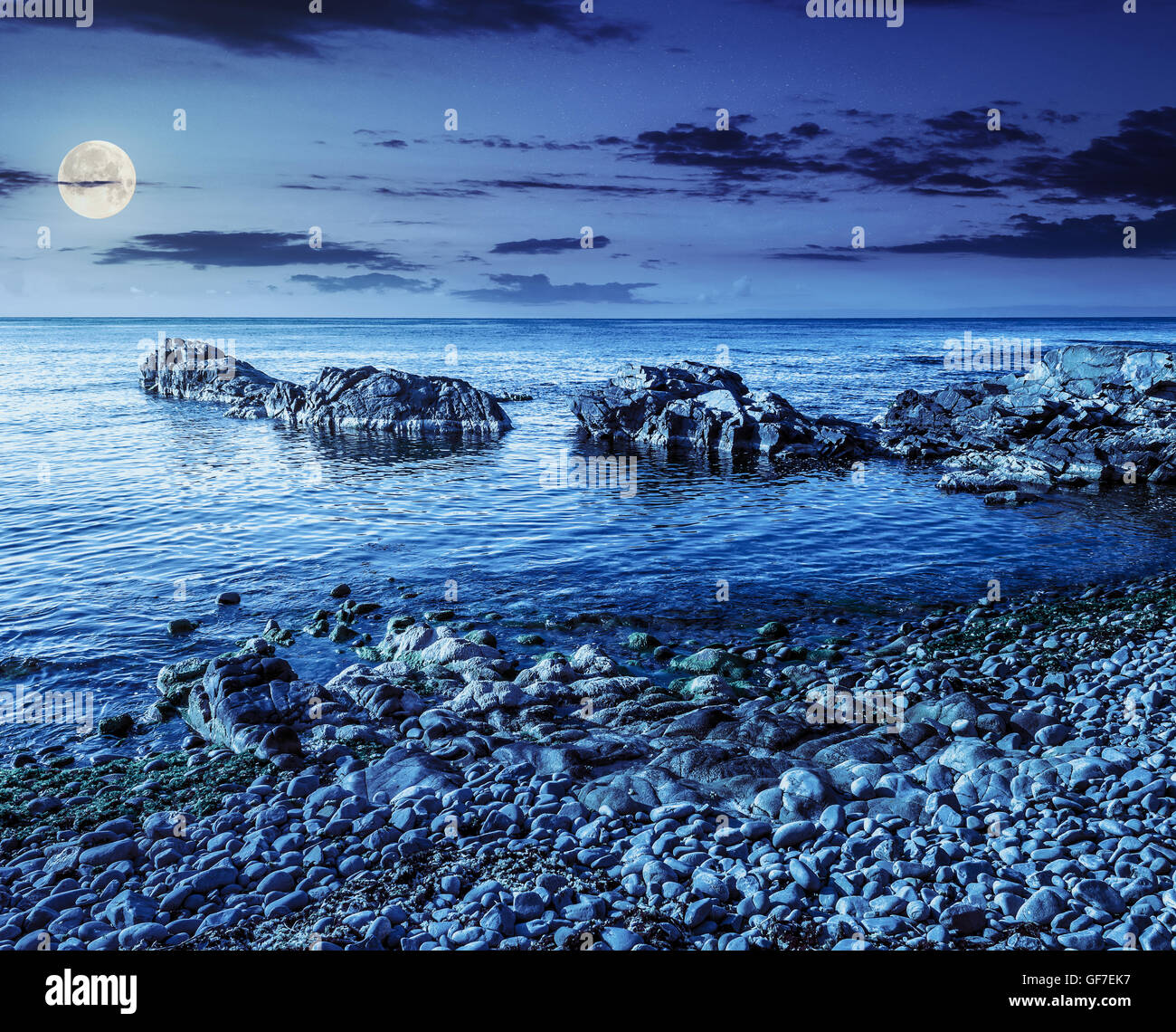 rocky coast with seaweed near the blue sea at night in full moon light ...