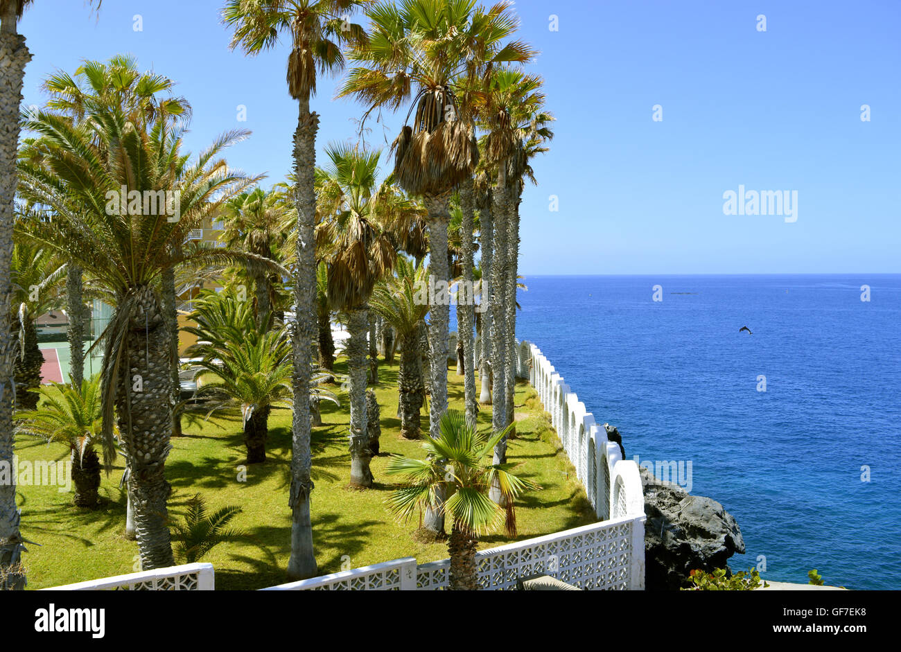 Callao Salvaje coast in Adeje Tenerife Stock Photo