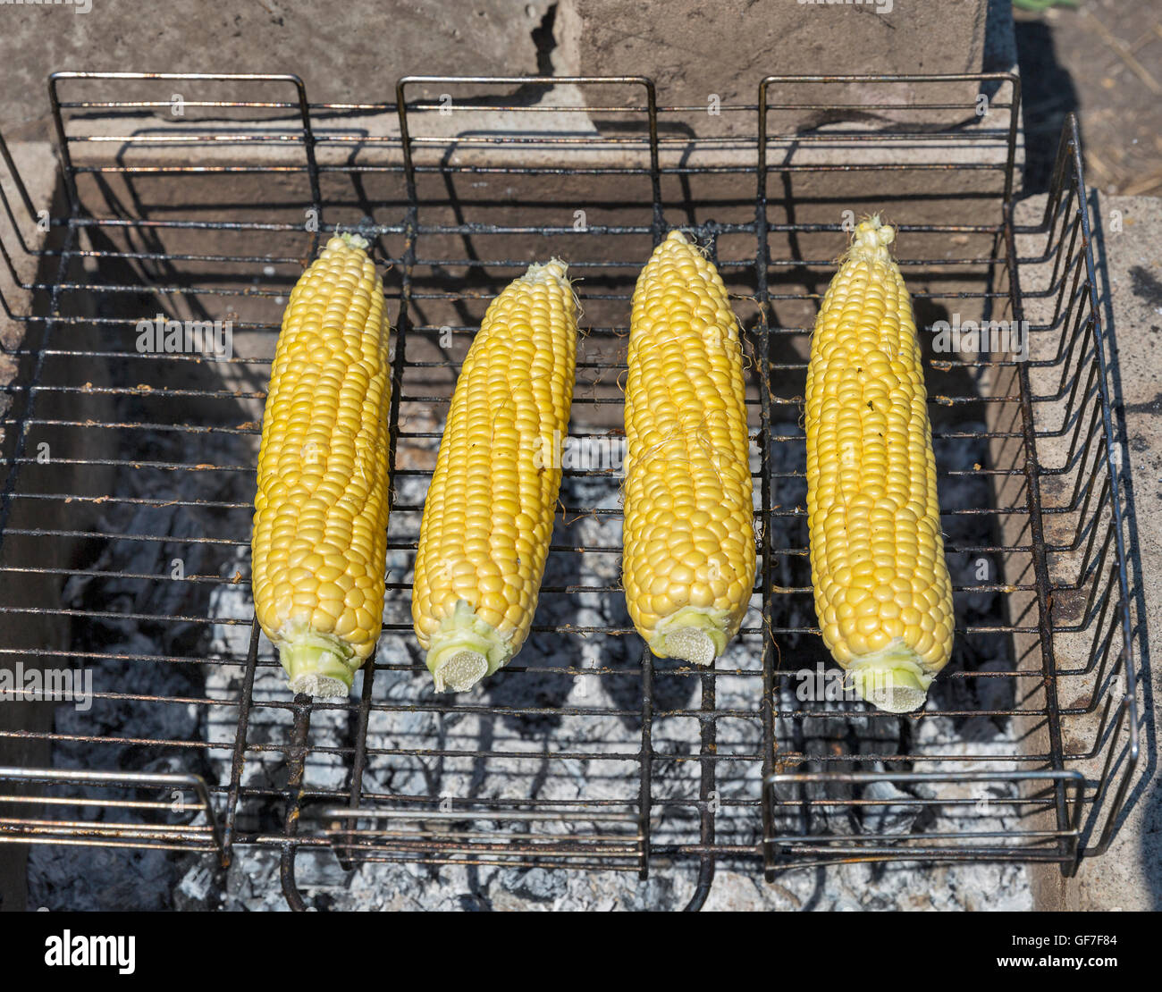 roasted sweet corns on the grill closeup Stock Photo