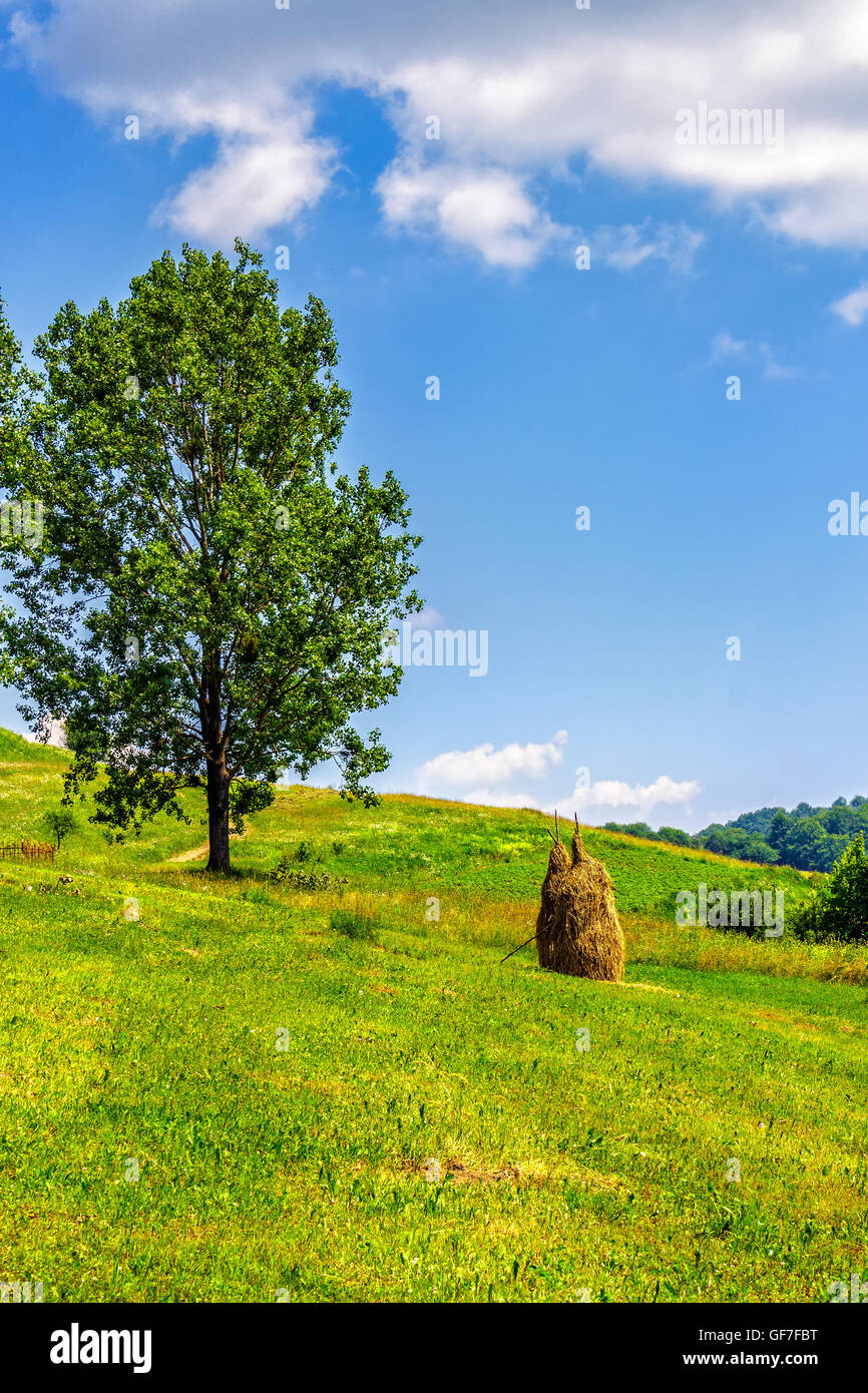 Stack of hay in the mountains on a meadow hill side with tree Stock Photo