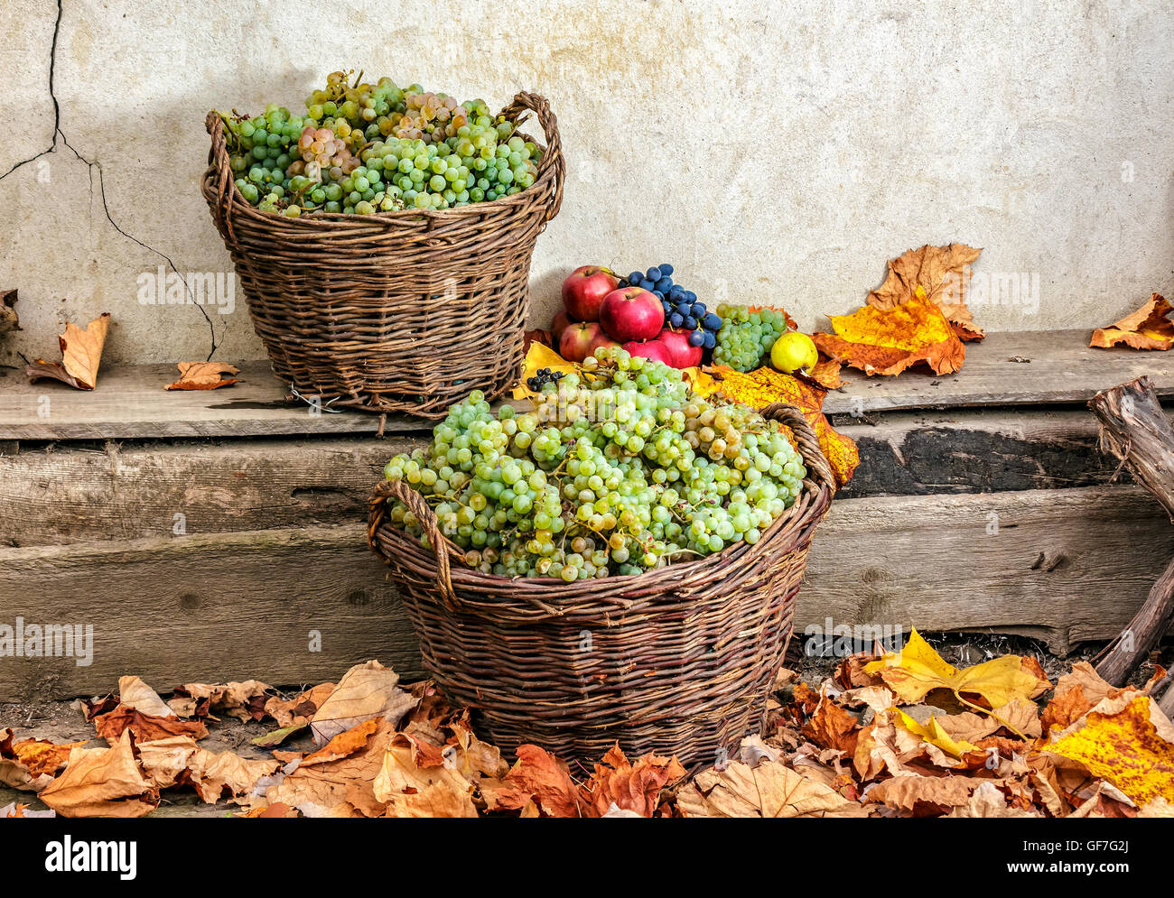 autumnal fruit still life with apples, quince, grapes and leaves on old wall background Stock Photo