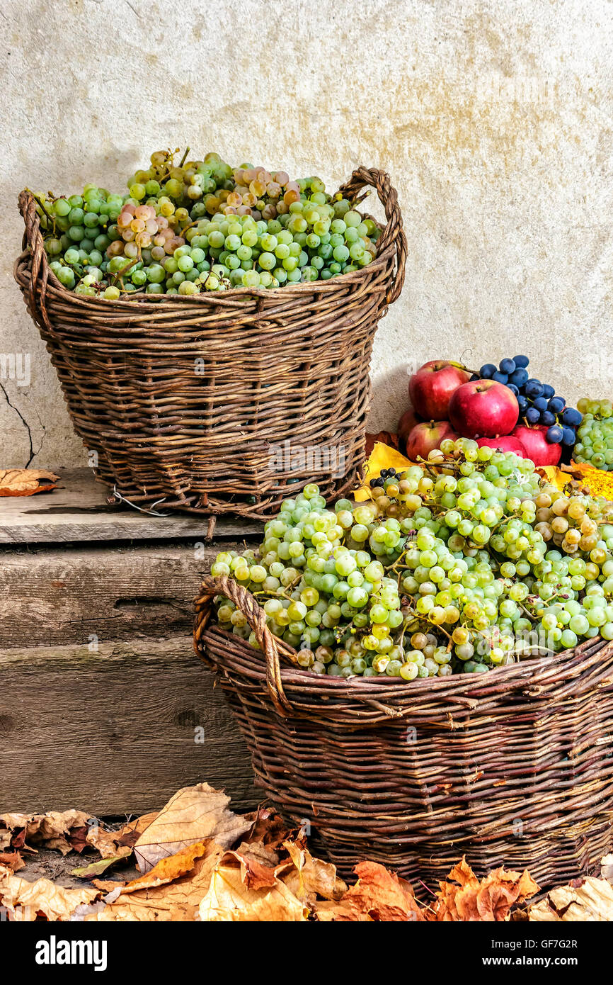 autumnal fruit still life with apples, quince, grapes and leaves on old wall background Stock Photo