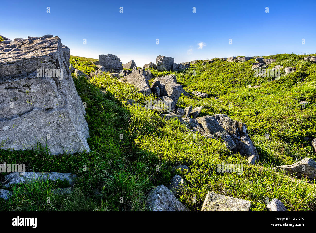mountain summer landscape. meadow with huge stones among the grass on ...