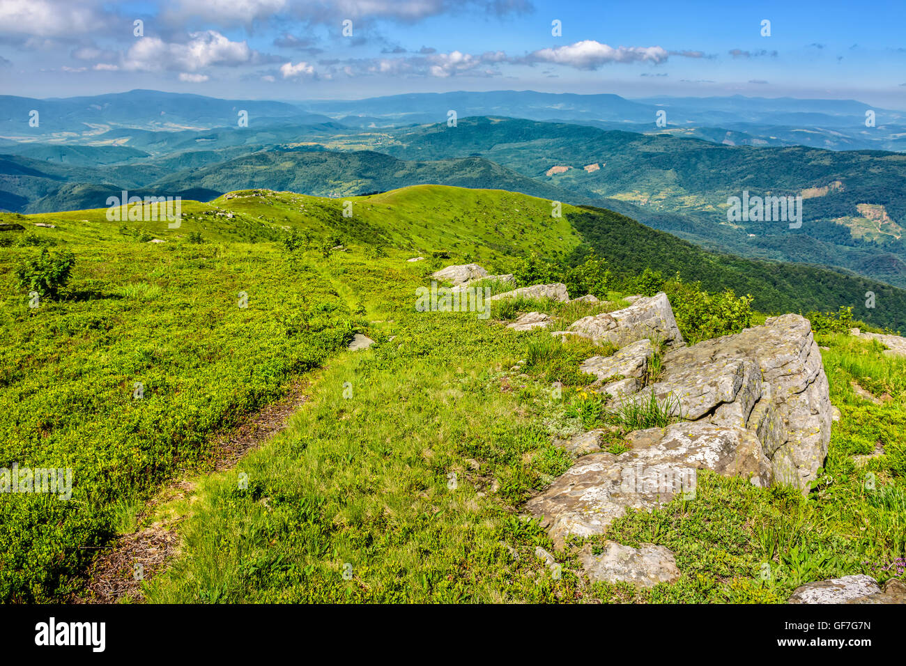 white sharp boulders on the hillside meadow with green grass in high Crapathian mountains Stock Photo