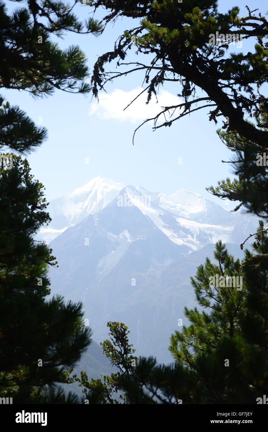 Tree frame, tree border, frame, mountain view, snow, peak, clouds Stock Photo Alamy