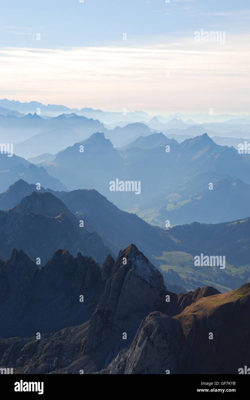 Hase and panoramic view Swiss alps Stock Photo - Alamy