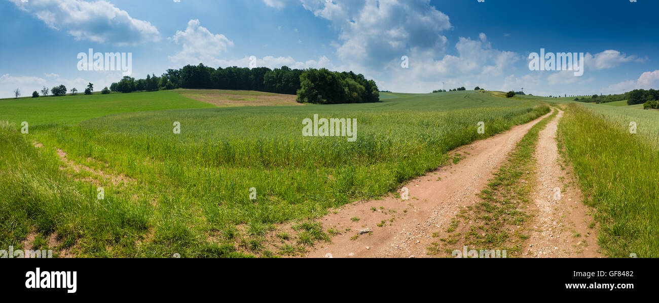 Rural road through fields with green herbs and blue sky with clouds Stock Photo