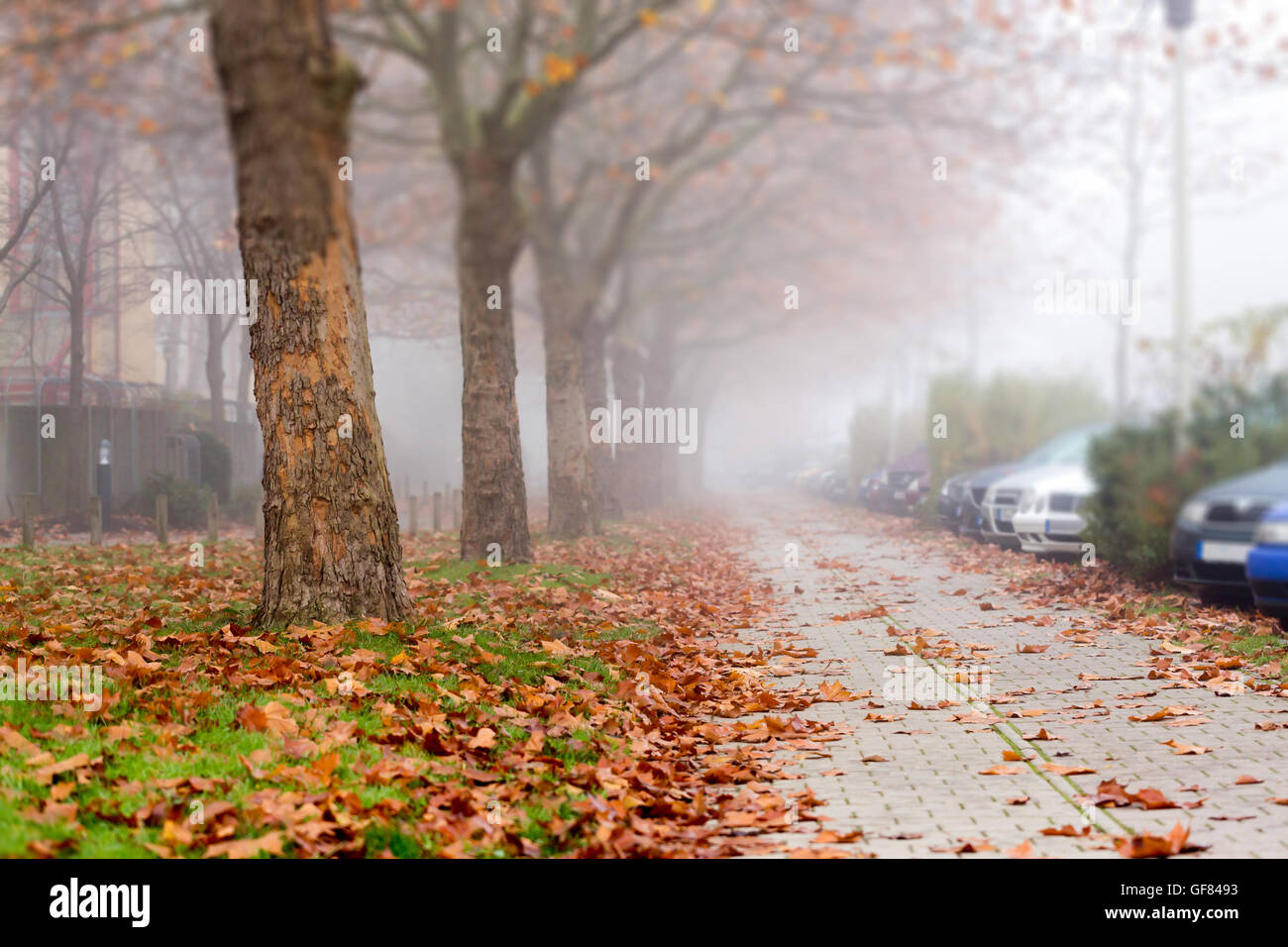 Alley in a European city in the autumn Stock Photo