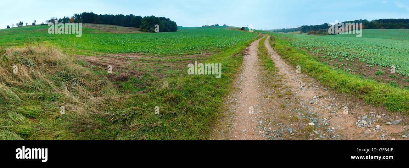 Vanishing dirty road through meadow at dawn. Stock Photo