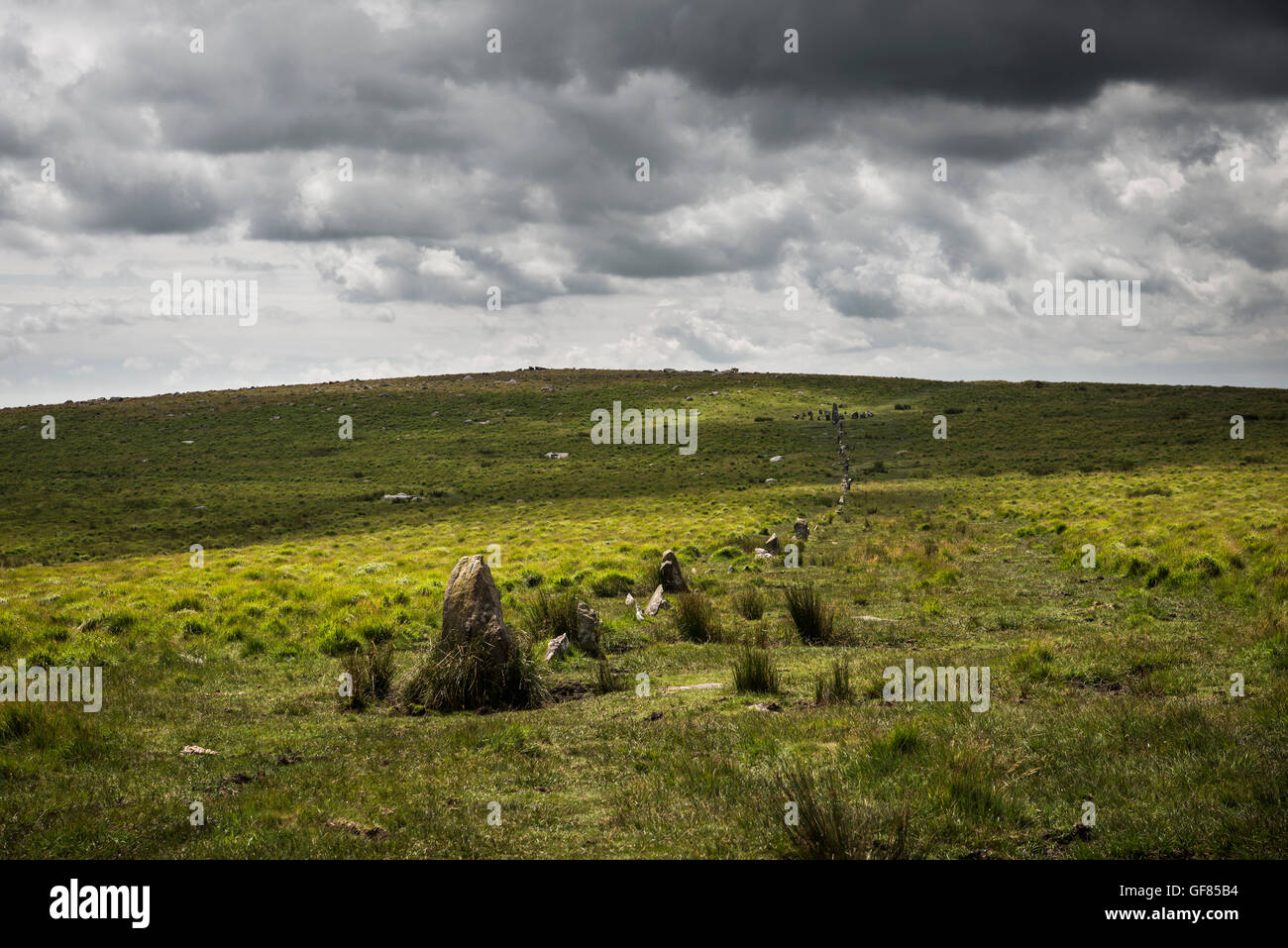 Down Tor Late Neolithic/Early Bronze Age Cairn Circle and Stone Row on