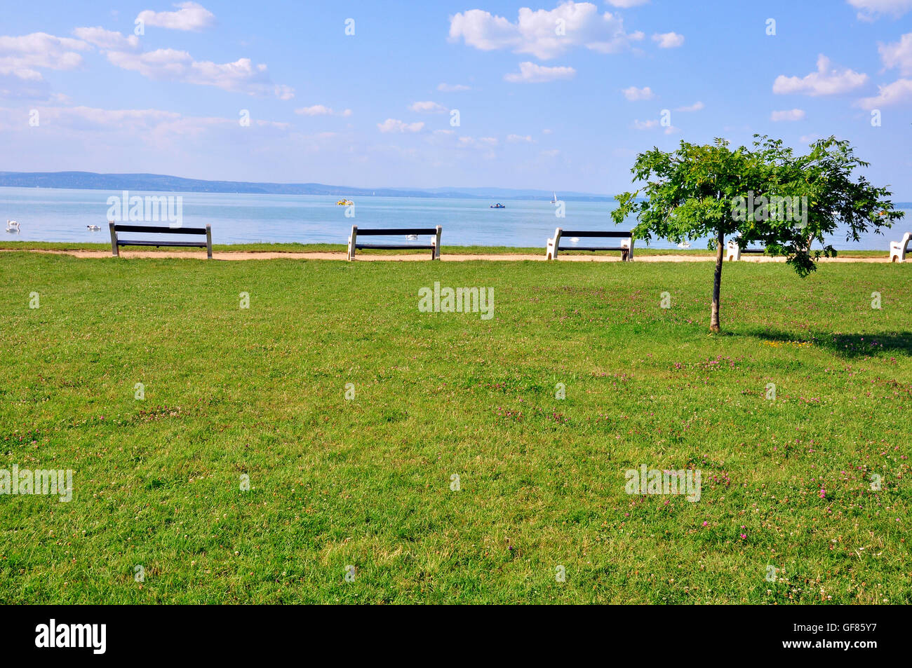 Benches and tree, Siofok resort Stock Photo
