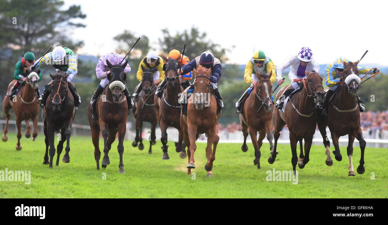 Golden Spear (centre) ridden by Leigh Roche wins the Guinness Handicap ...