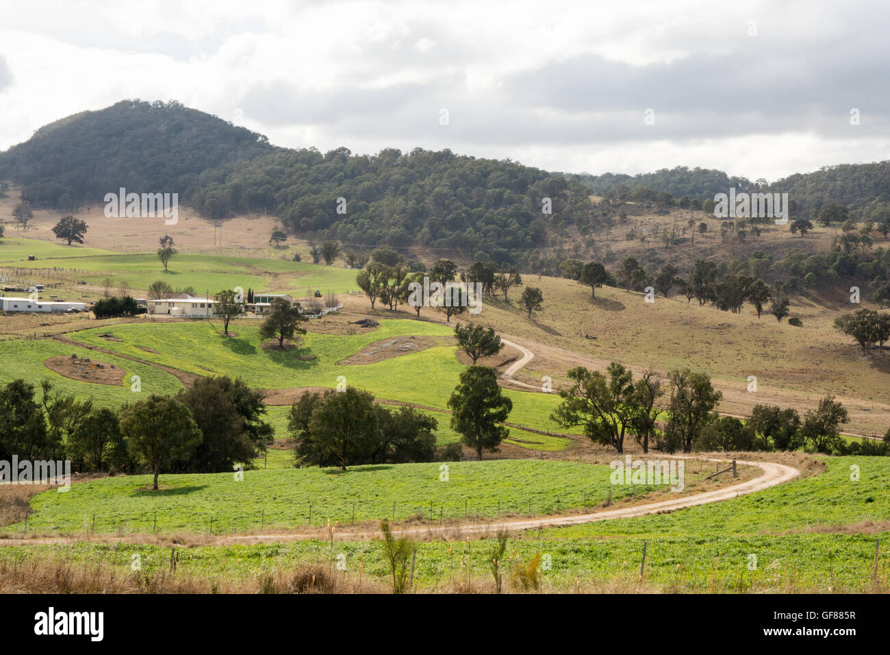 Lane through Rolling Hills in Australia's Great Dividing Range. Stock Photo