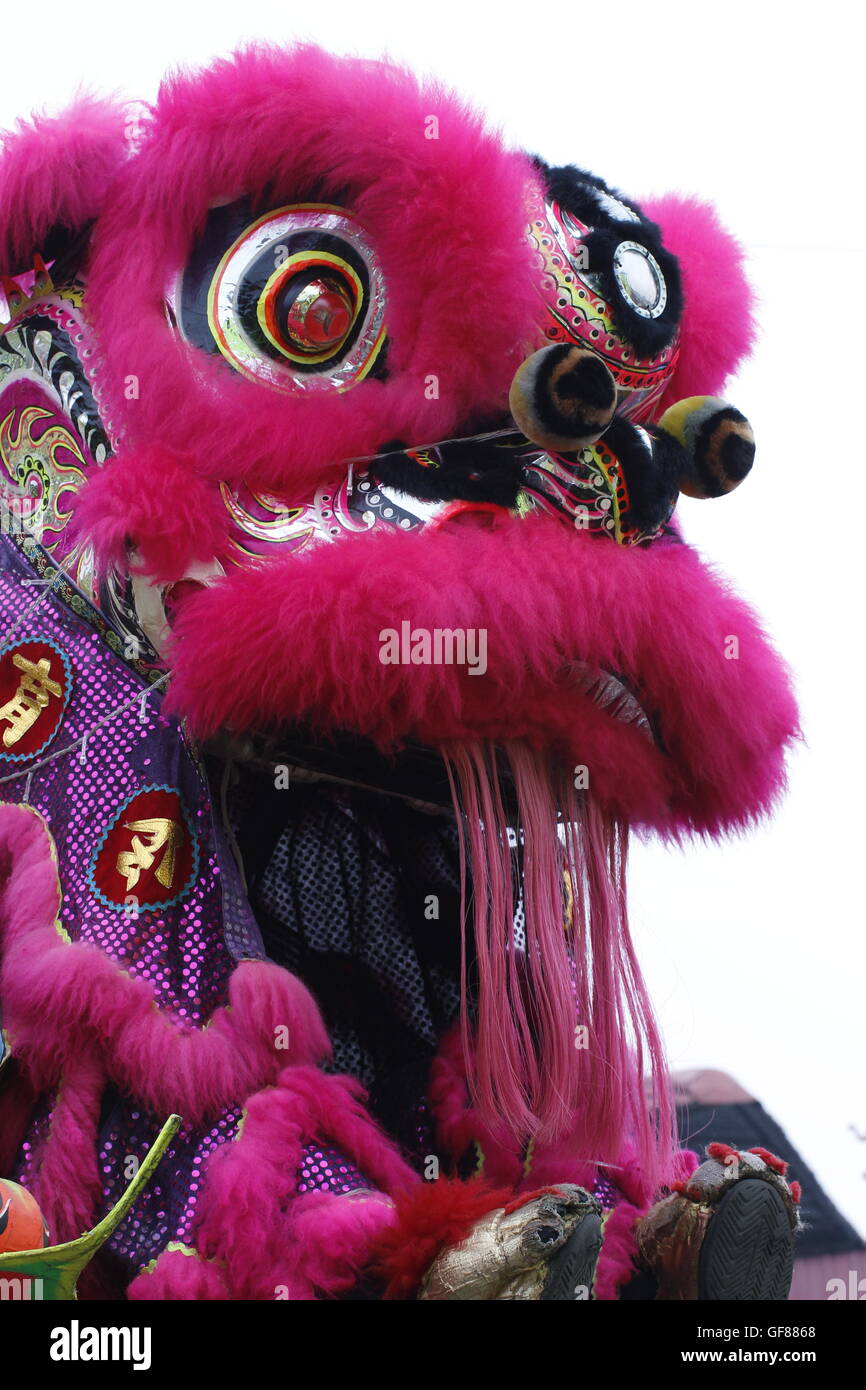 lion dance costume Stock Photo Alamy