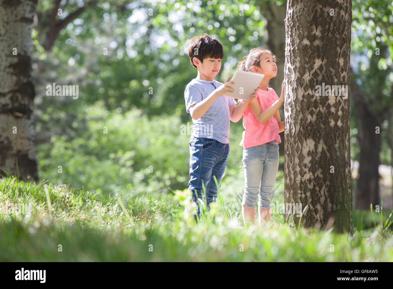 Happy Chinese children playing in woods Stock Photo - Alamy