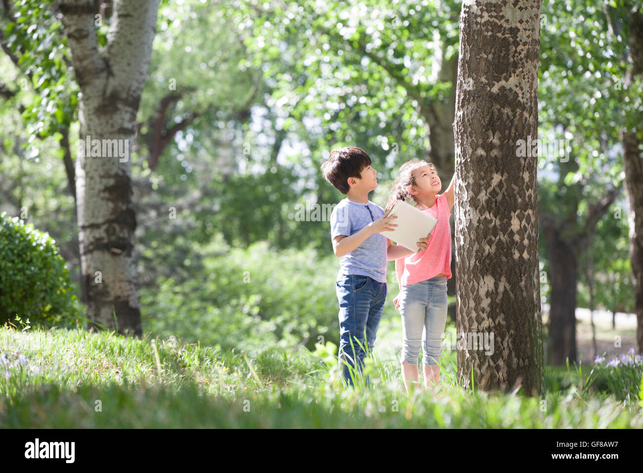 Happy Chinese children playing in woods Stock Photo - Alamy
