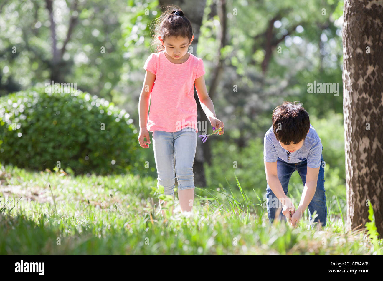Happy Chinese children playing in woods Stock Photo - Alamy
