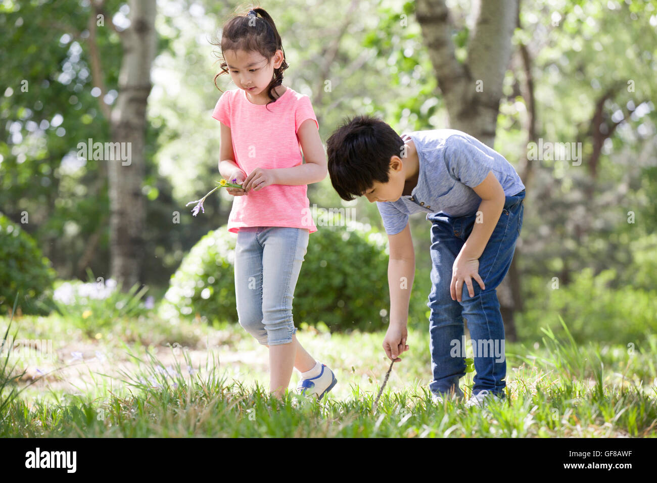 Happy Chinese children playing in woods Stock Photo - Alamy