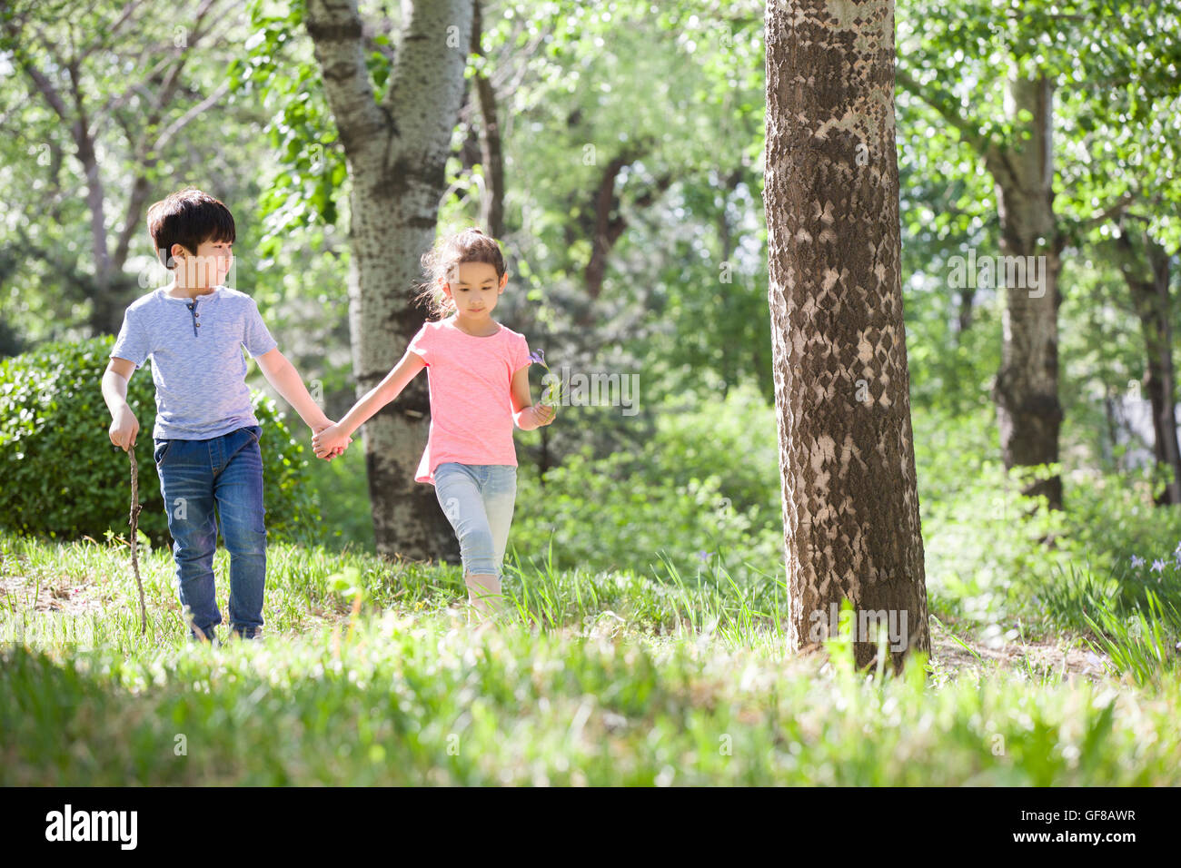 Happy Chinese children holding hands walking in woods Stock Photo - Alamy