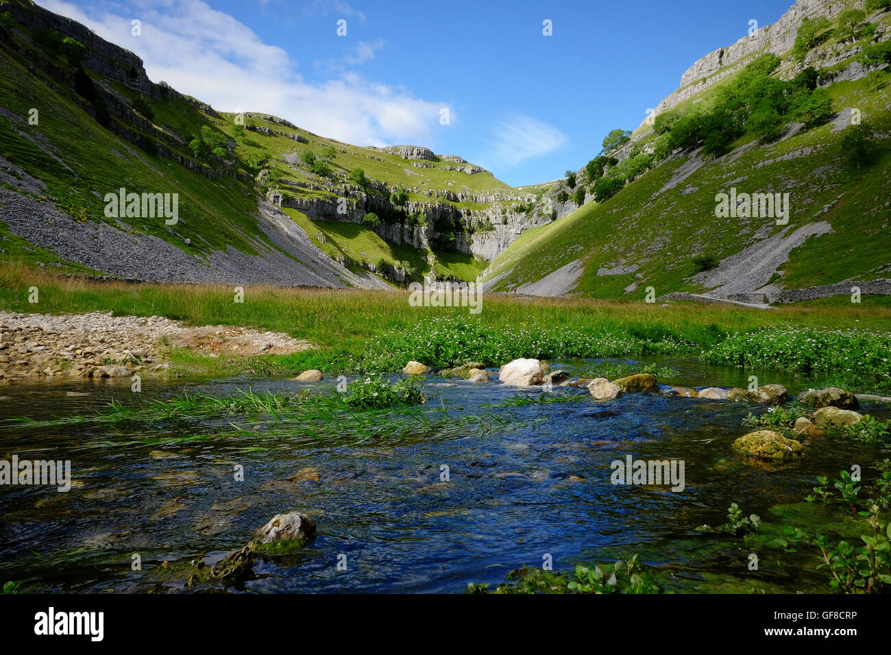 Gordale Scar limestone gorge in the Yorkshire Dales National Park, North Yorkshire. U.K. with Gordale beck in the for-ground. Stock Photo