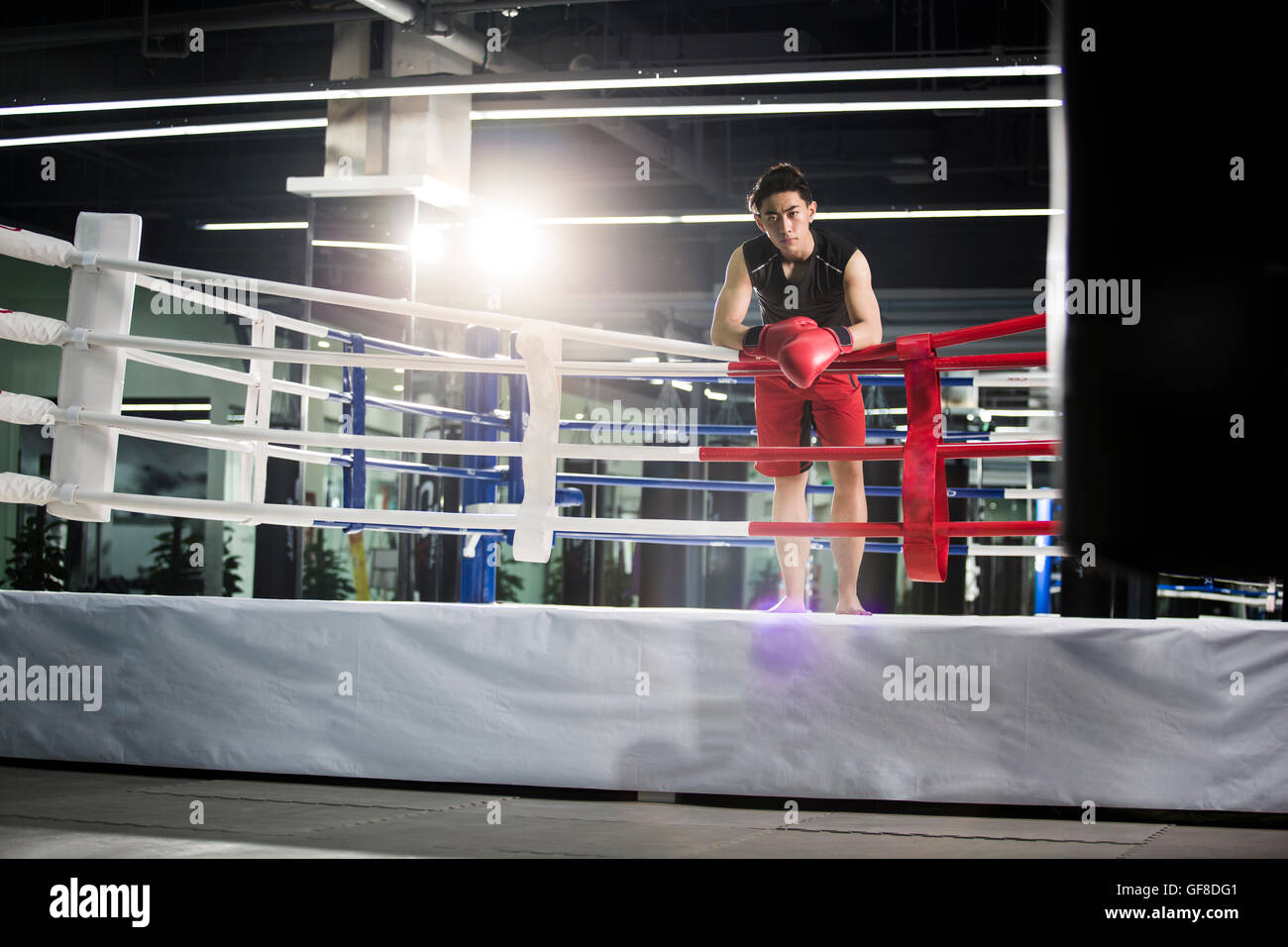 Chinese boxer resting in boxing ring Stock Photo Alamy