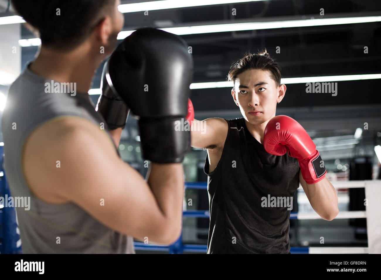 Chinese boxers fighting in boxing ring Stock Photo Alamy