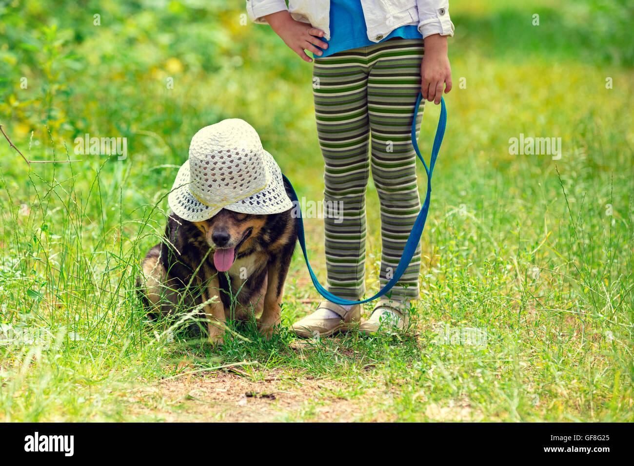 Happy little girl playing with dog in the forest Stock Photo - Alamy