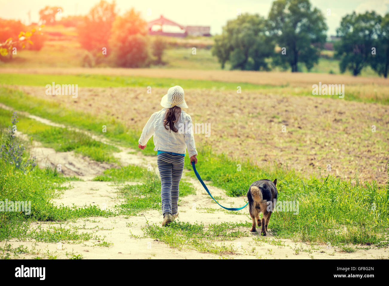Happy little girl walk with dog on the field Stock Photo - Alamy